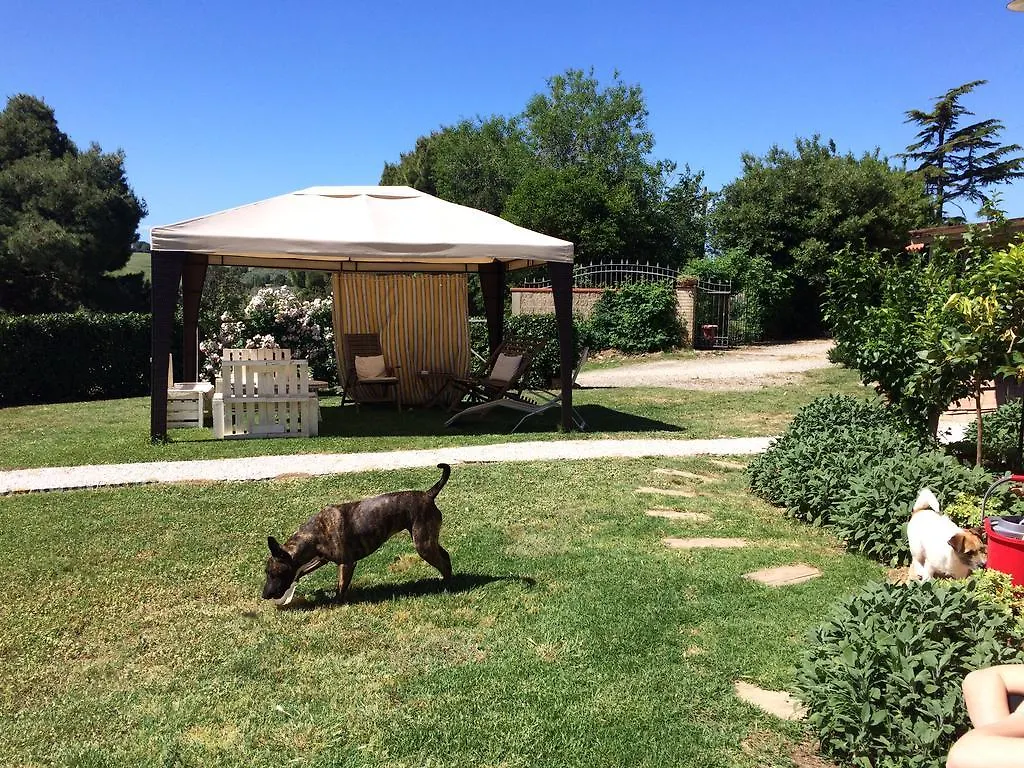 Alloggio per agriturismo agriturismo Campoalquattrino Villa Bibbona Italia